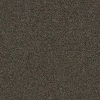 Draufsicht Girloon TWIN Teppichboden Velours 785 Dunkelbraun, 2/4 m breit